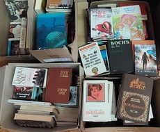 Apatinska biblioteka prikupila 150 knjiga za Dom za stare i penzionere