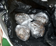 NA DUNAVSKIM SPLAVOVIMA PRONAĐENA DROGA