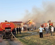 POŽAR NA PERIFERIJI APATINA: IZGORELI OBJEKTI, STADO OVACA I NEKOLIKO MAŠINA