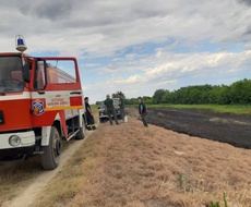IZGORELO oko 2,7 hektara trave pored nasipa