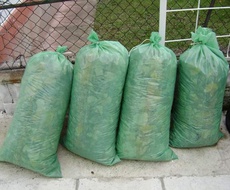 AKCIJA odvoza lišća od 18. do 22. decembra