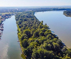 Osim na rukavcu, NE PREPORUČUJE se kupanje ni na Dunavu