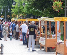 Poznat program i satnica dodela medalja u okviru 6. Međunarodnog festivala rakije u Apatinu