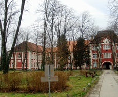 PREMINUO DEČAK (13) U SOMBORSKOJ BOLNICI, SUMNJA SE NA POSLEDICE KORONE