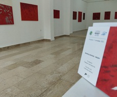 POSTAVKA Apatinca Milorada Blanuše u galeriji Meander do 7. septembra