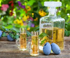PROIZVOĐAČI I LJUBITELJI VOĆNIH RAKIJA ,,ČUVARI TRADICIJE,, APATIN ORGANIZUJE I MEĐUNARODNI FESTIVAL RAKIJE ,,GORNJE PODUNAVLJE,,