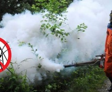 POČETKOM JUNA POČINJE BORBA SA KOMARCIMA