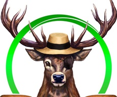 Udruženje Gornje Podunavlje u subotu organizuje “Dunavsku regatu”