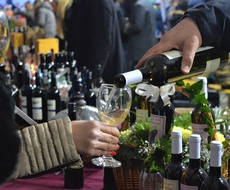 Somborski Ravangrad WINE FEST zakazan za 3. decembar