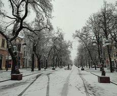 Apatin se zabeleo, narednih dana kiša