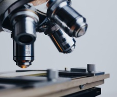 Odličan plasman apatinskih osmaka na REPUBLIČKOM TAKMIČENjU iz biologije