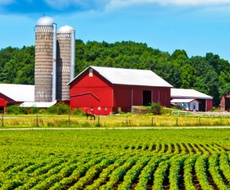 AP Vojvodina: КONKURS za dodelu do 70% bespovratnih sredstava za opremanje farmi i pčelarstvo