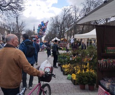 U Apatinu otvoren tradicionalni “Prolećni bazar”