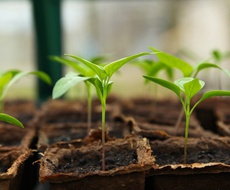 KONKURS za investicije u nove mašine i opremu za biljne kulture otvoren do 7. septembra