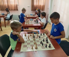 Besplatna škola šaha tokom avgusta u Šah klubu Velemajstor