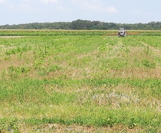 U toku podnošenje zahteva za SUBVENCIONISANE POLjOPRIVREDNE KREDITE