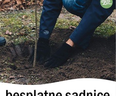 Akcija - Posadi svoj hlad PODELA BESPLATNIH SADNICA GRAĐANIMA SOMBORA