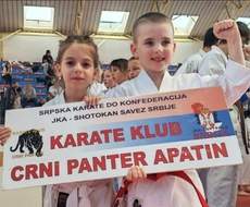 Novi uspesi mladih karatista Karate kluba „Crni Panter“ Apatin