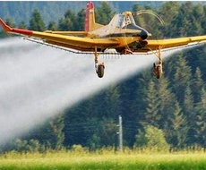 UPOZORENjE ZA PČELARE! Sutra prskanje komaraca iz vazduha i sa zemlje