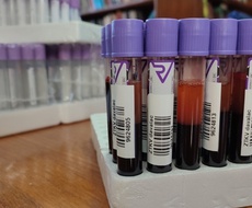 Nove akcije dobrovoljnog davanja krvi u Apatinu, Prigrevici i Sonti