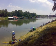 Počela prodaja RIBOLOVAČKIH DOZVOLA za 2024. godinu