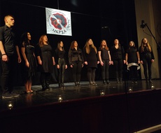U subotu u Apatinu KONCERT izvornog srpskog pevanja