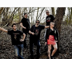 U petak u Domu kulture HUMANITARNI ROK KONCERT