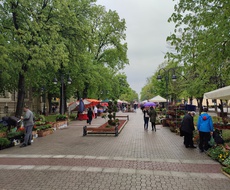 PRIJAVE za “Prolećni vašar” do 20. marta