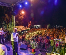 Menhetn bend, Zvonko Bogdan, Trilogy i Dženan Lončarević na ovogodišnjem Bodrog Festu
