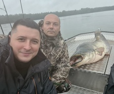 KAPITALAC: APATINAC BOŽO MEDIĆ UPECAO SOMA OD 72 KG