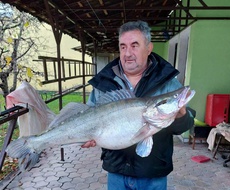 Apatinac Zoran Srdić upecao je SMUĐA KAPITALCA