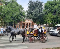 BESPLATNA vožnja fijakerima i škola jahanja krajem septembra u Somboru