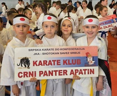 Nove medalje za najmlađe članove Karate škole „Crni Panter“ Apatin