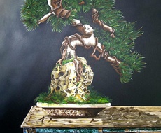 PRVA SAMOSTALNA IZLOŽBA ZORANA ZOCE ARBUTINE - „BONSAI – PORTRETI ŽIVOTA“
