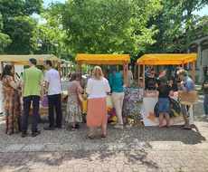 U Apatinu održan MINI SAJAM SOCIJALNOG PREDUZETNIŠTVA