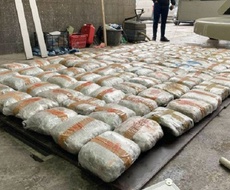 Na graničnom prelazu Bački Breg ZAPLENjENO 155 KILOGRAMA MARIHUANE