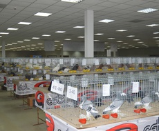 Međunarodni sajam peradarstva u Somboru od 22. do 25. januara