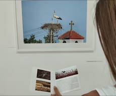 Izložba fotografija “Još uvek nije tišina” do 8. jula u galeriji Meander