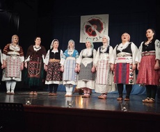 U subotu tradicionalni “Vidovdanski sabor” KUD-a “Carza” iz Apatina