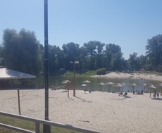 ODLOŽENA SANITARNA SEČA ŠUME NA POLUOSTRVU PREKOPUTA „PLAVE RUŽE“