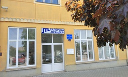 Od petka u galeriji Meander izložba skulptura Vajarske grupe 747