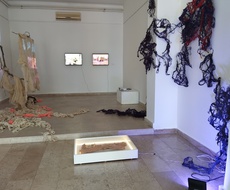 Izložba Ivanjičanke Zorane Milićević do 25. jula u galeriji Meander