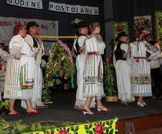 Poznat program 94. Grožđebala u Sonti