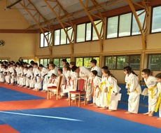 Novi uspesi članova Karate kluba “Crni Panter” Apatin