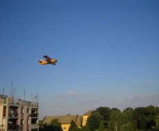 Najavljeno PRSKANjE KOMARACA u opštini Apatin, preparat toksičan za pčele