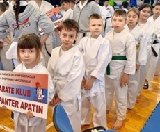 Nove medalje za mlade apatinske karatiste