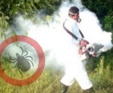 Od sutra novi TRETMANI SUZBIJANjA KRPELjA na teritoriji opštine Apatin