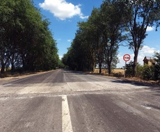 Zbog NOVIH RADOVA na putu Apatin-Sombor, vozila se propuštaju naizmenično