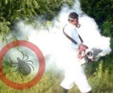 Tretman SUZBIJANjA KRPELjA na teritoriji opštine Apatin počinje danas