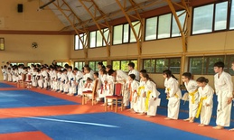 Novi uspesi članova Karate kluba “Crni Panter” Apatin